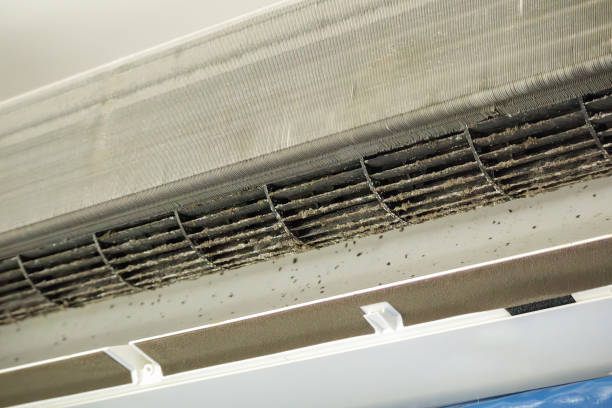 Best Home Air Vent Cleaning  in University Heights, OH